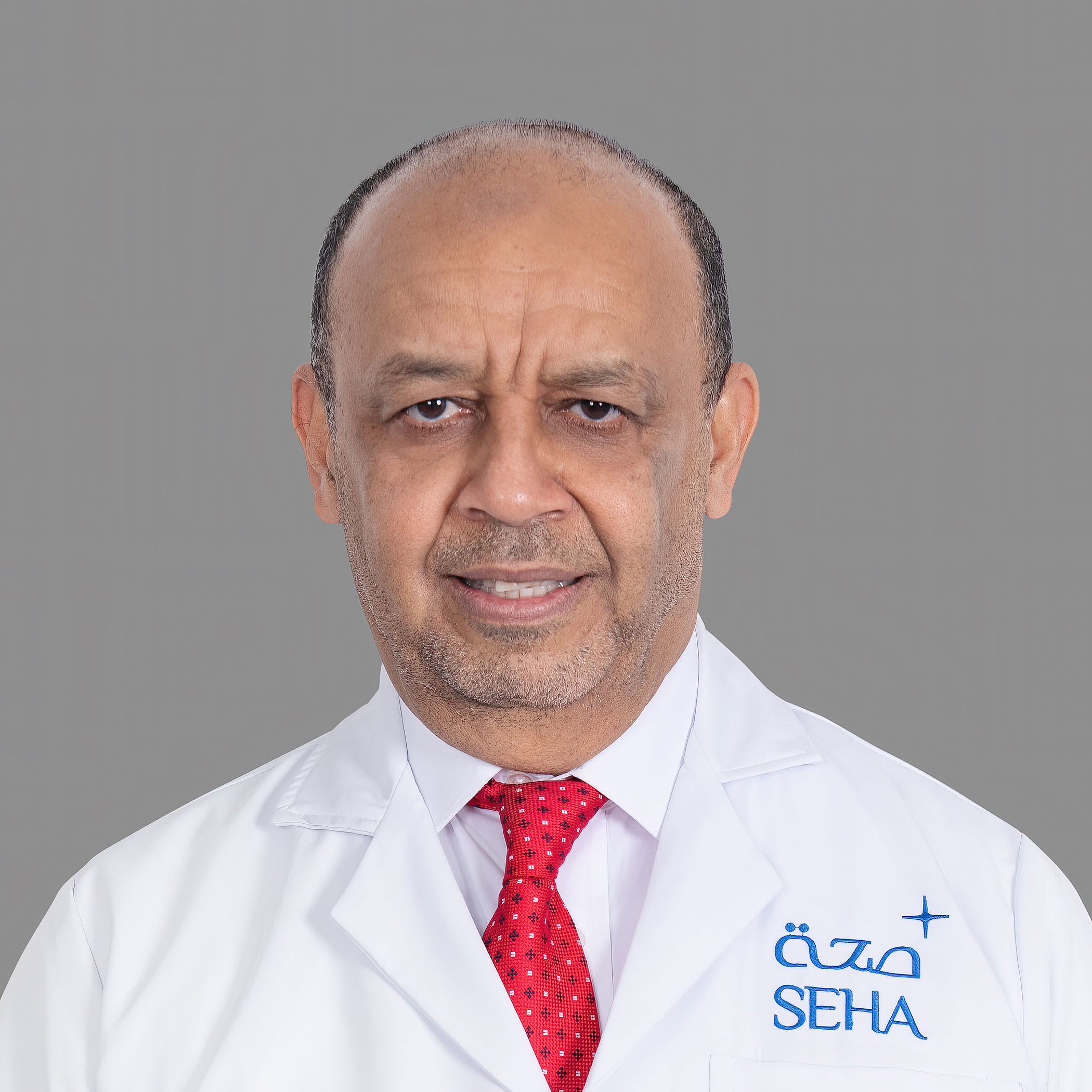 Magdi Abdelghafour Tofeig