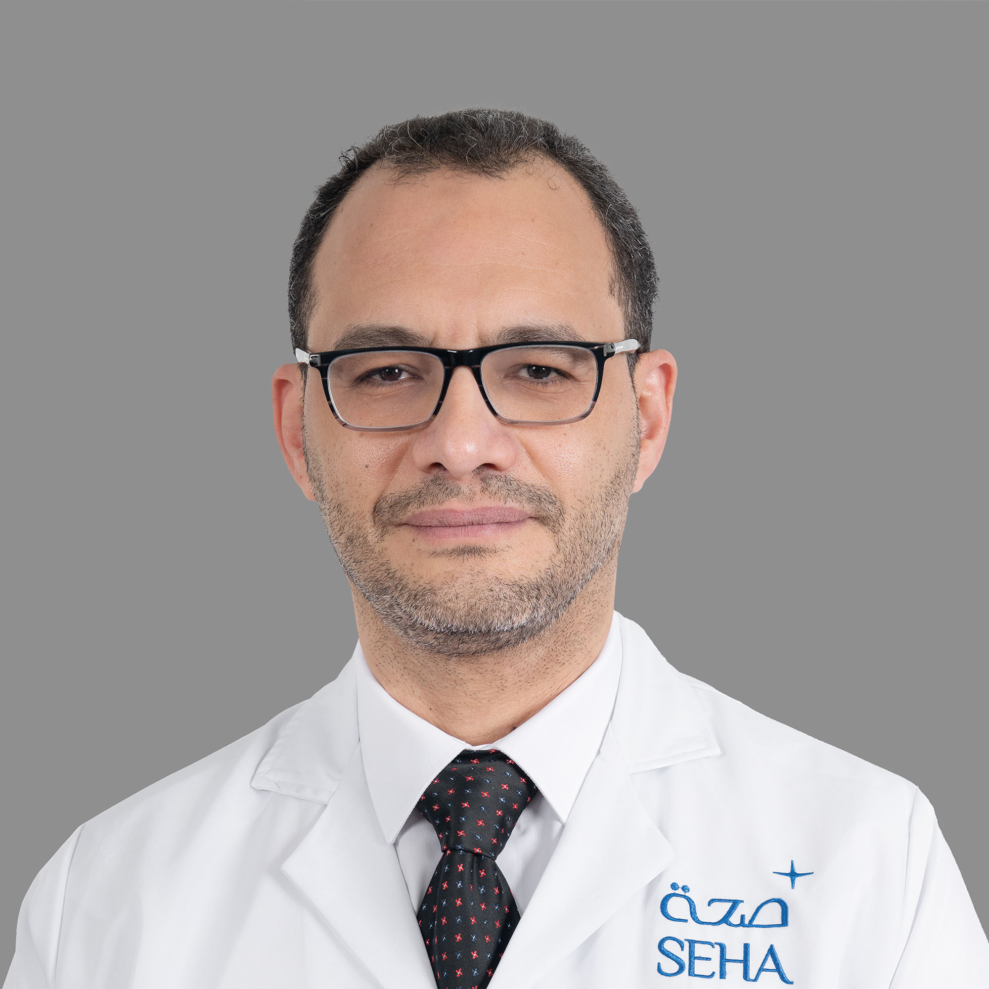 Seif El Eslam Abdelsalam Abouelela